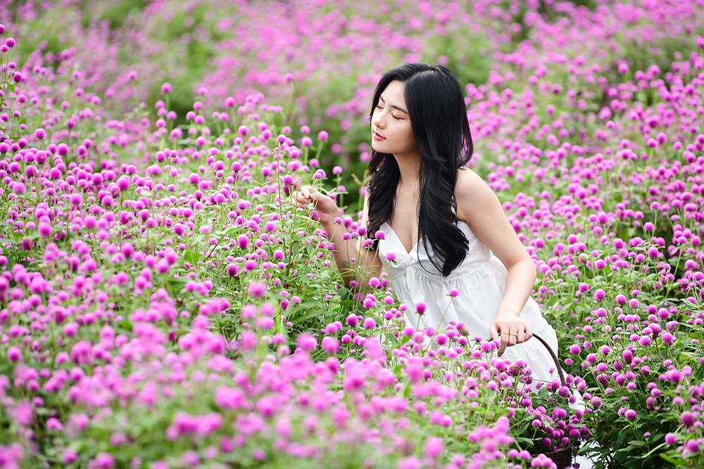 Nhat Tan Flower Gardens - hidden gems in hanoi